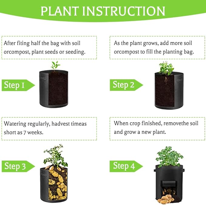 Potato Sack Plant