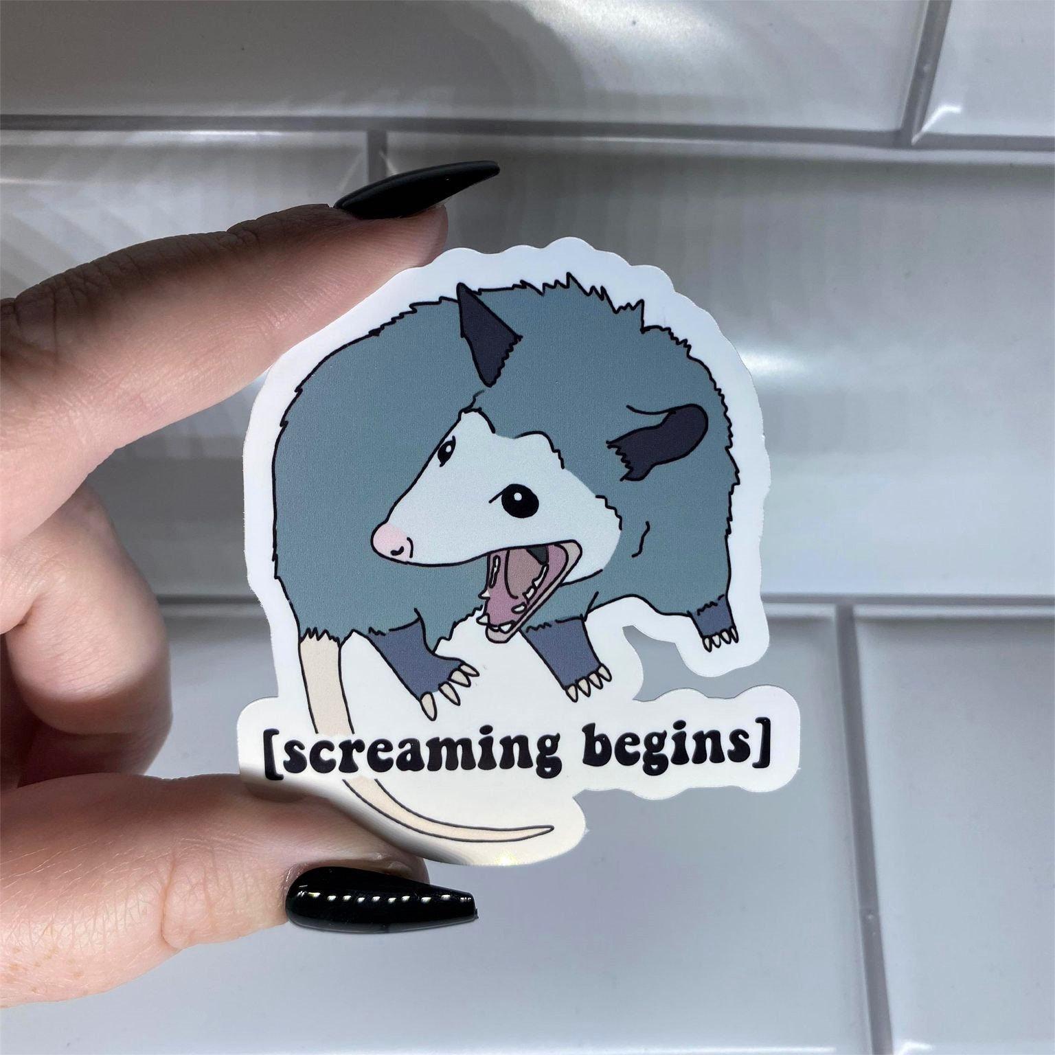 Funny Possum Sticker