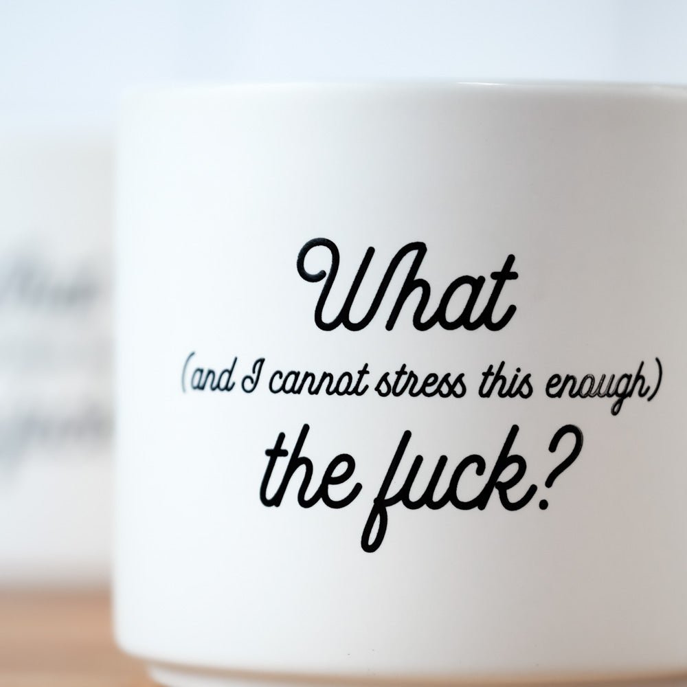 I CANNOT STRESS THIS ENOUGH (WTF) ...COFFEE MUG