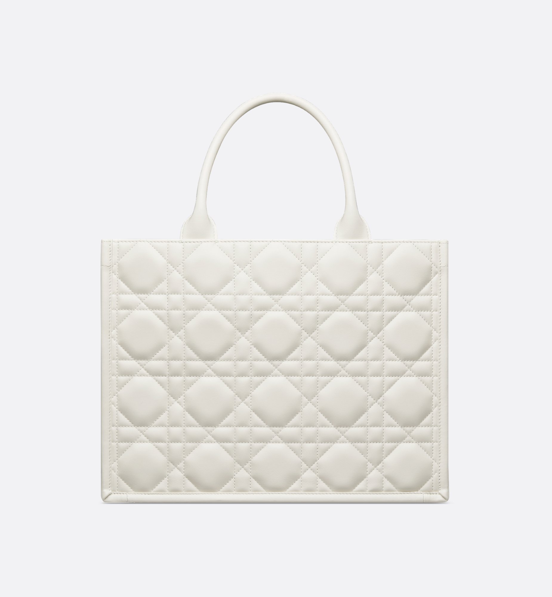 Dior Medium Book Tote Bag M1324OWHP_M030