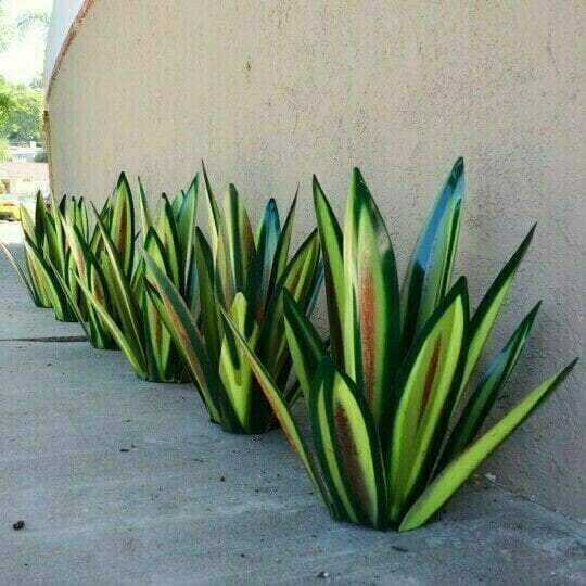 🔥Last Day 50% OFF🔥HandMade Painted Metal Century Plant🔥Buy 2 save 10% & Free Shiping