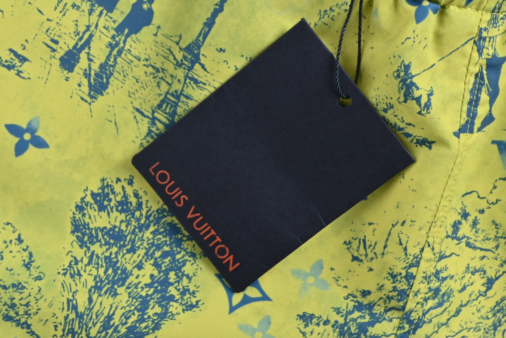Louis Vuitton Park Print Shorts