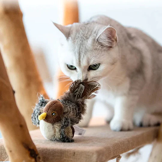 HOT SALE🔥😺Cat Toys - Analog Chirping Birds