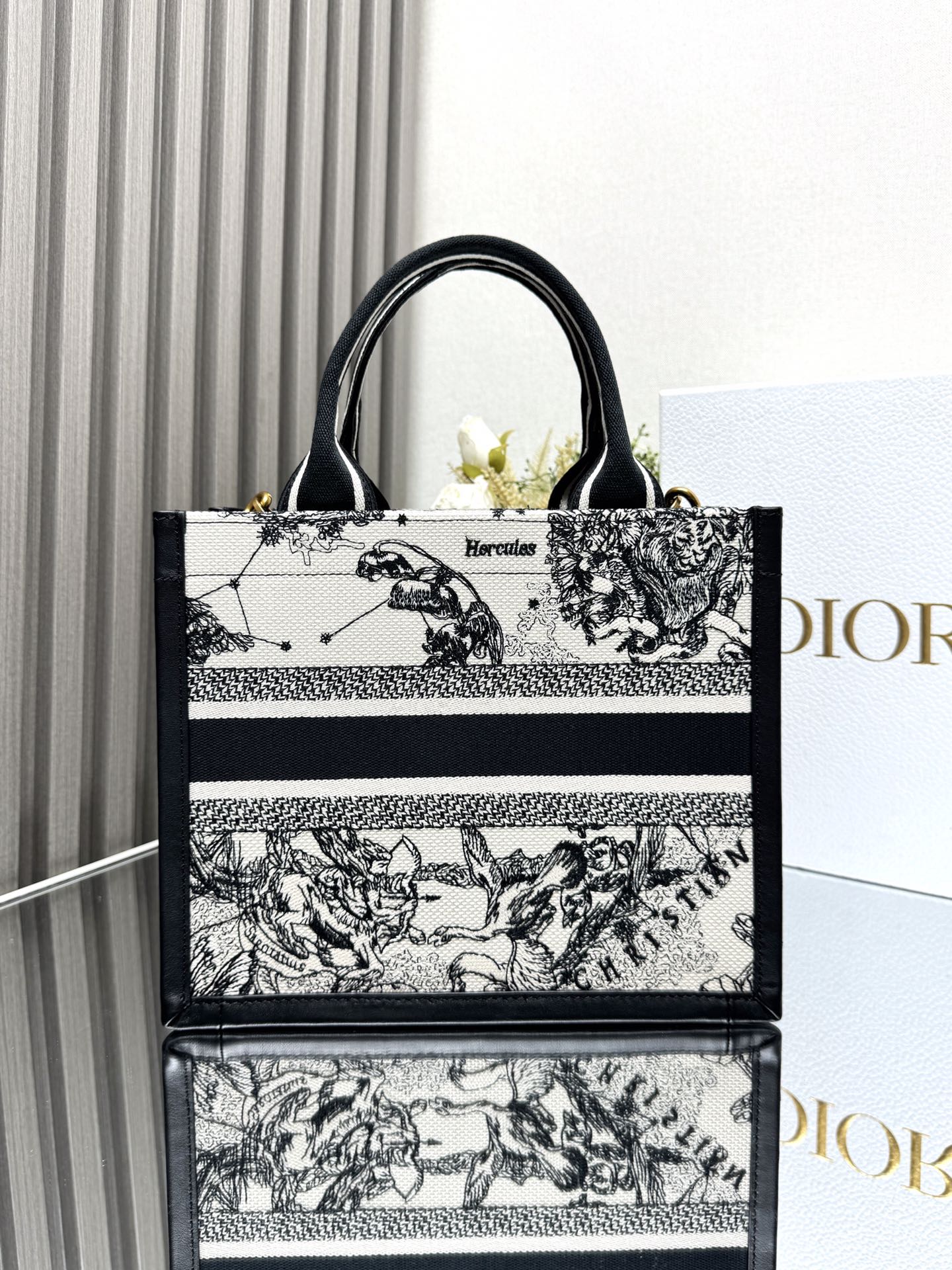 Dior Mini Book tote bag