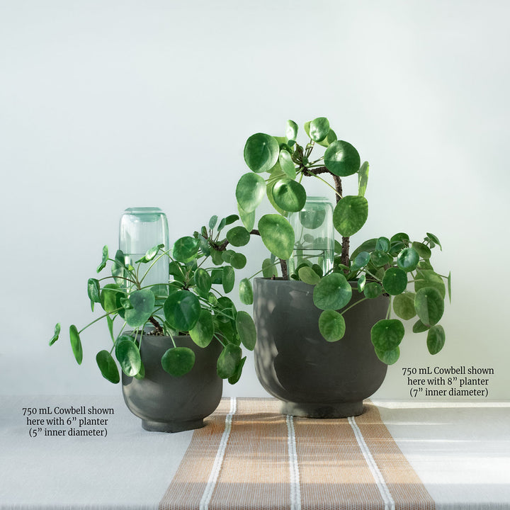 💖Last Day 50% OFF💖Self-Watering Plant Care Kit