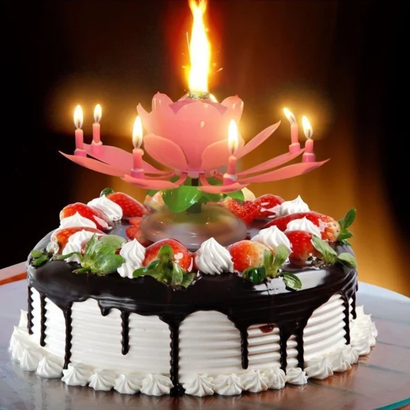 ⚡2024 New Year Special Sale-Magic Music Flower Birthday Candle