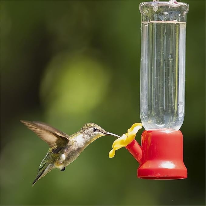 4pcs Mini Hummingbird Feeder with Hanging Wires For Outdoor