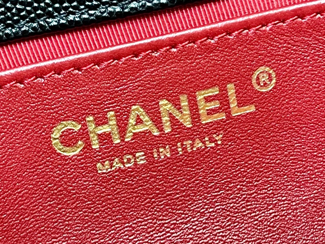 Chanel 23P Spring/Summer Series No. 5 Gold Coin Hobo Hippie Bag 3710