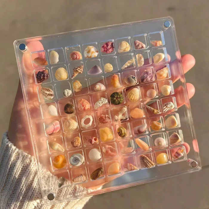 🔥Last Day Low Price in History🔥Magnetic Seashell Display Box