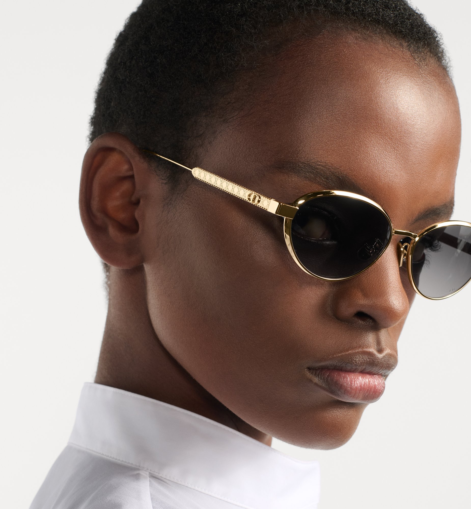 Dior DiorCannage R1U Sunglasses DCANR1UXR_B0A1