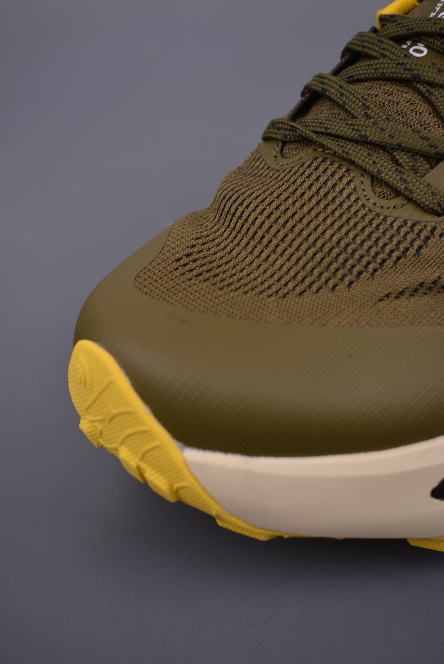 The North Face Altamesa 500 Hiking Shoes 