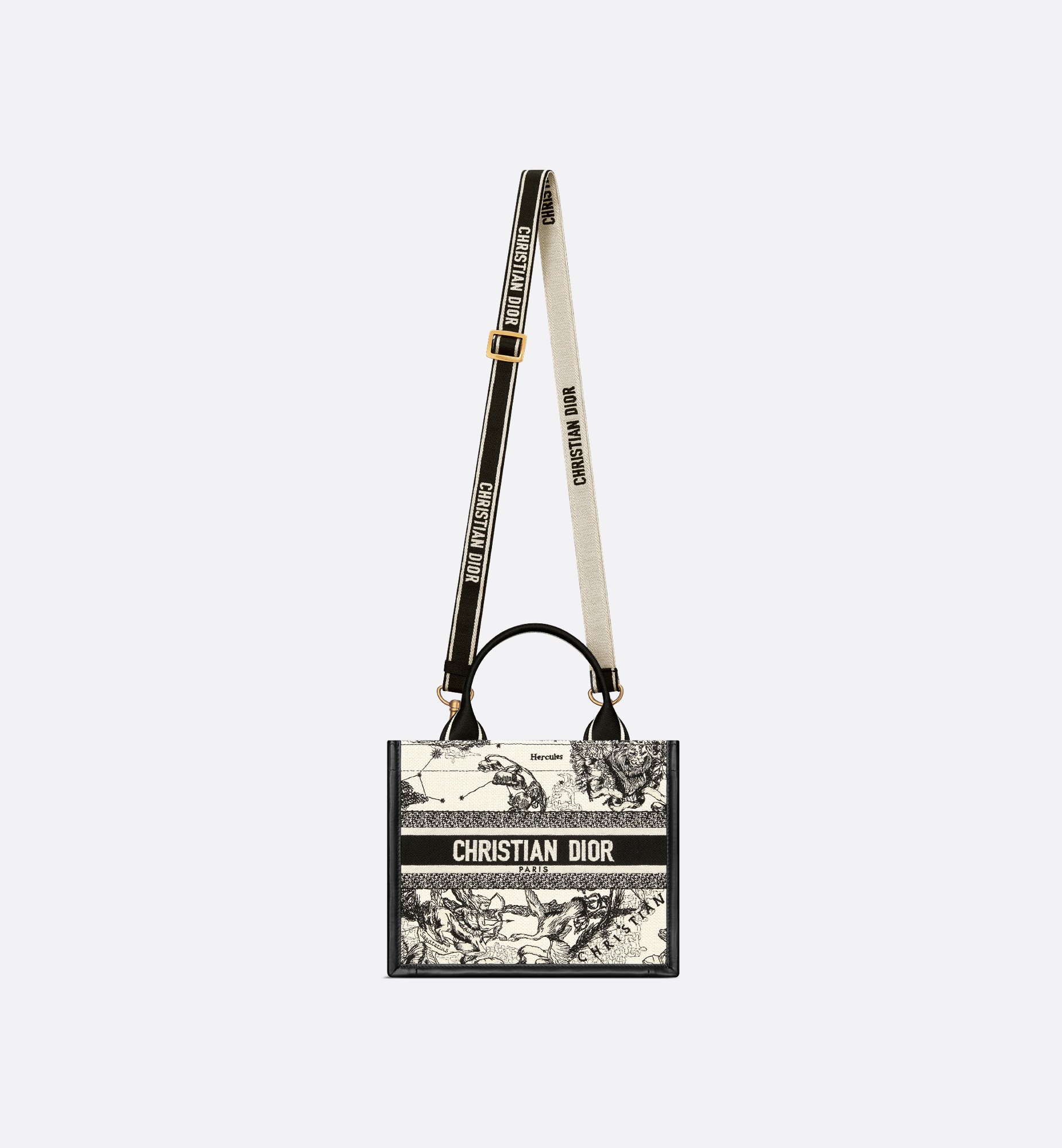 Dior Small Book Tote Bag M1325CETW_M06E