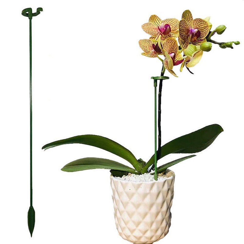 (🔥3rd Anniversary Sale) Plant Support Stake - Buy 3 Sets Get 2 Sets Free