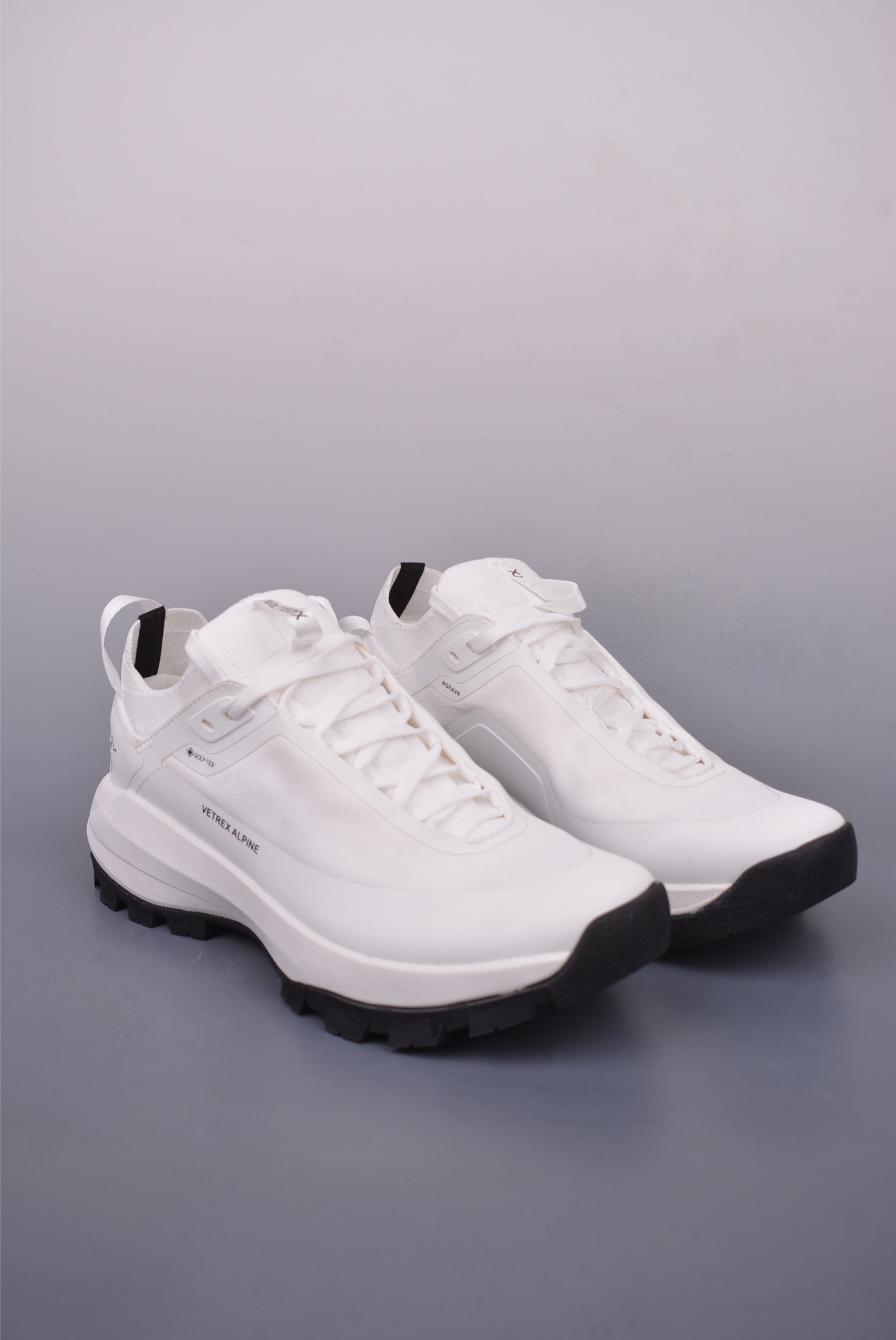 Arc'teryx Vertex Alpine GTX Sneakers White X000009018
