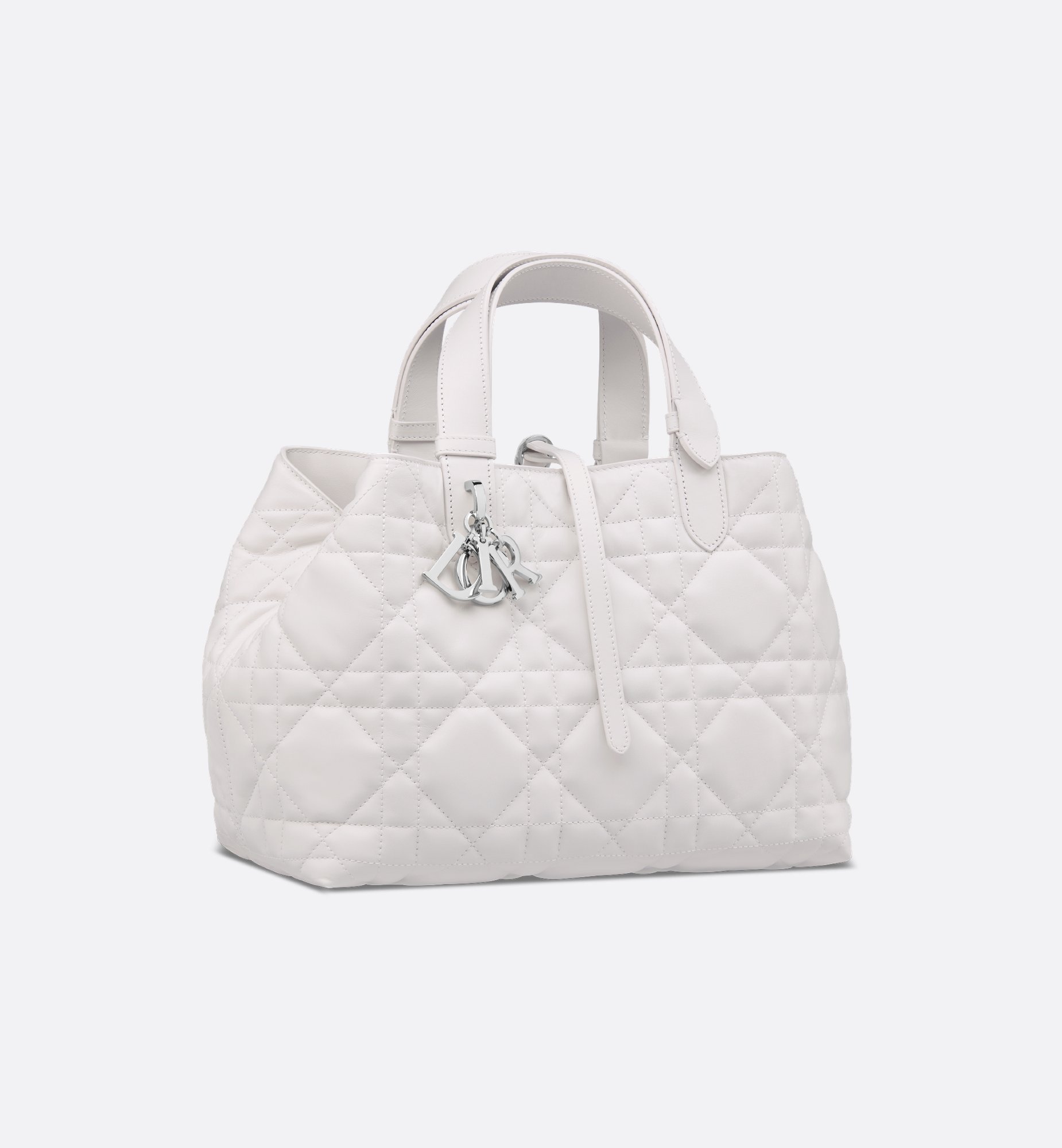 Dior Medium Dior Toujours Bag M2821PSNW_M19G
