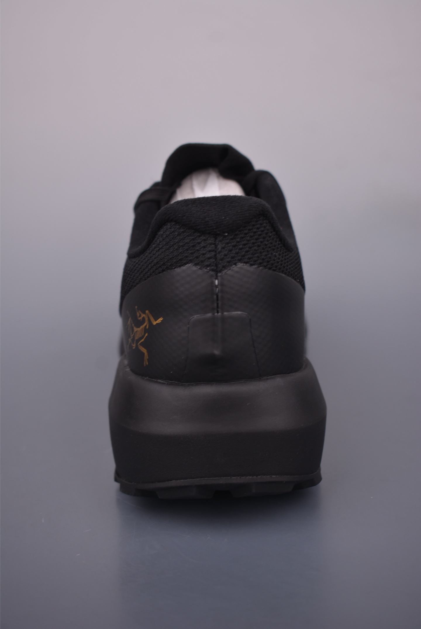 Arc'teryx NORVAN LD 4 GTX running shoes 