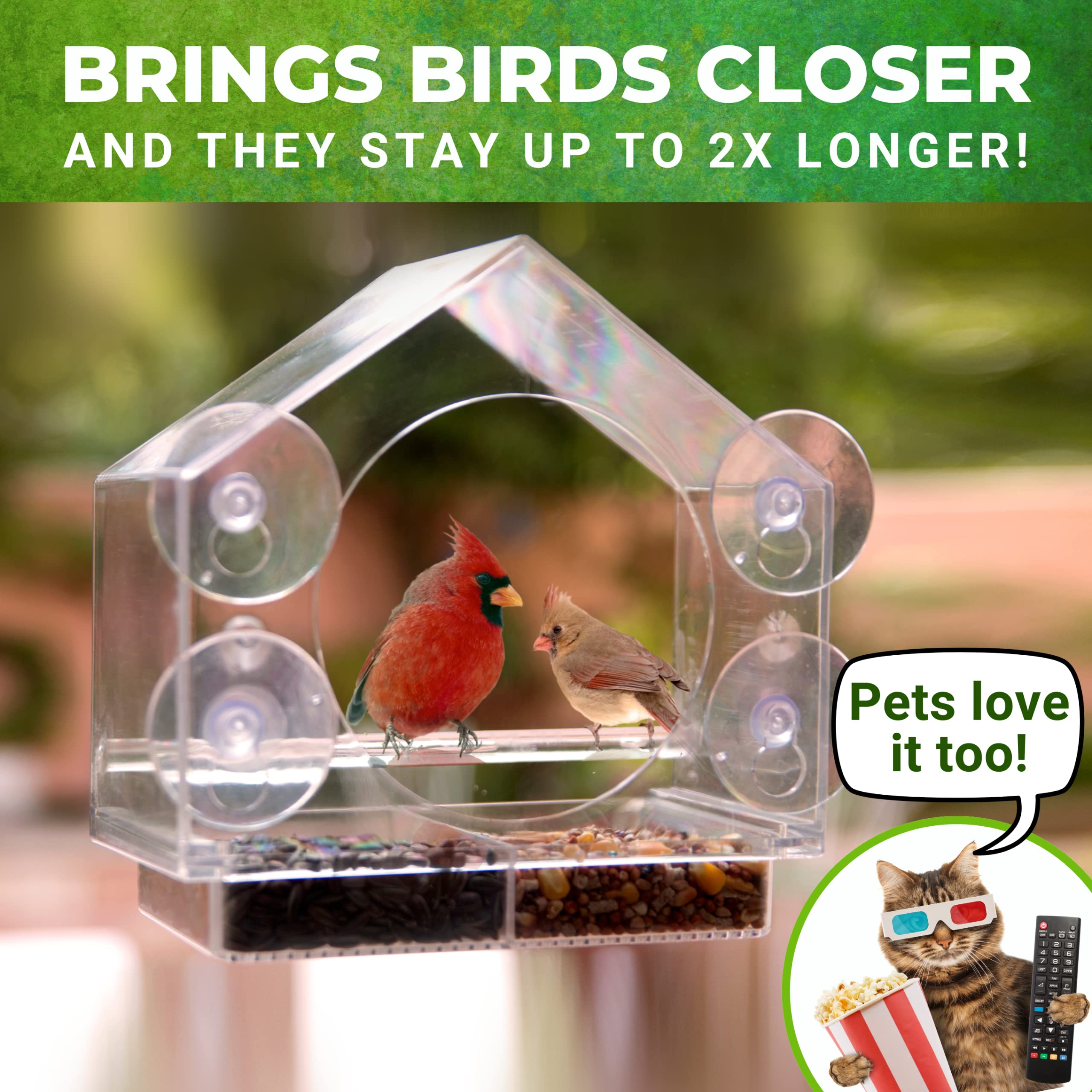 2024 New Year Promotion--Window Bird Feeders with Strong Suction Cups