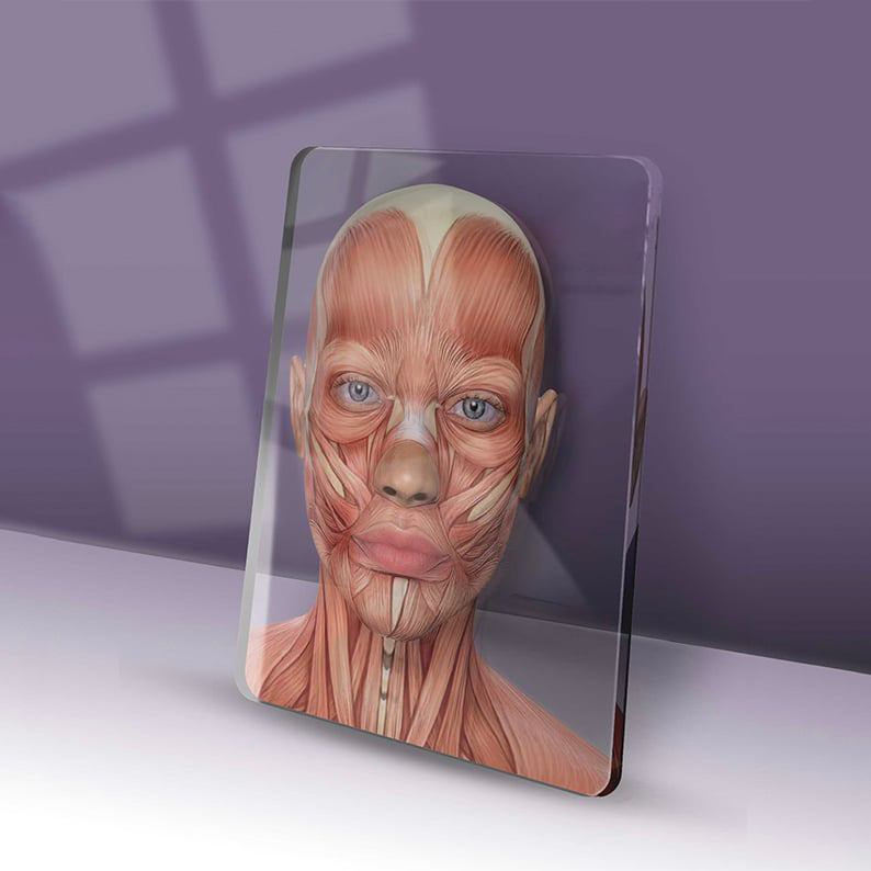 Veins & Arteries Aesthetics Training Academy