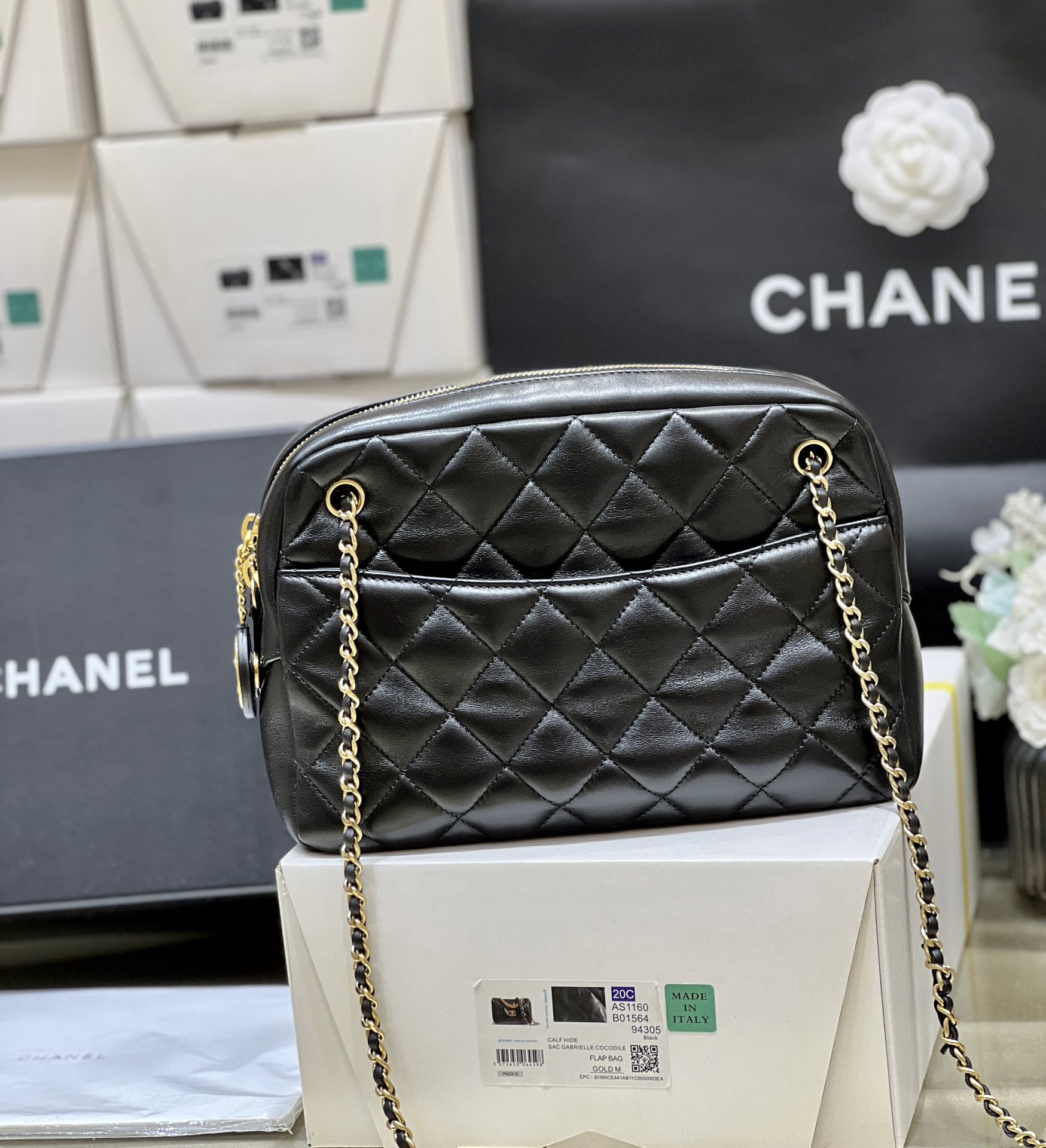 Chanel 24K Autumn and Winter Limited Edition Gold Coin Camera Bag AS5187