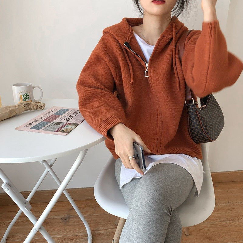 Elegant Hooded Knitted Coat – Loose Short Sweater