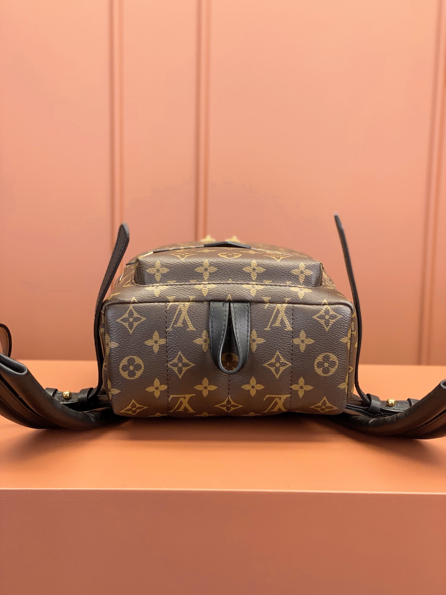 Louis Vuitton PALM SPRINGS Small Backpack M44871