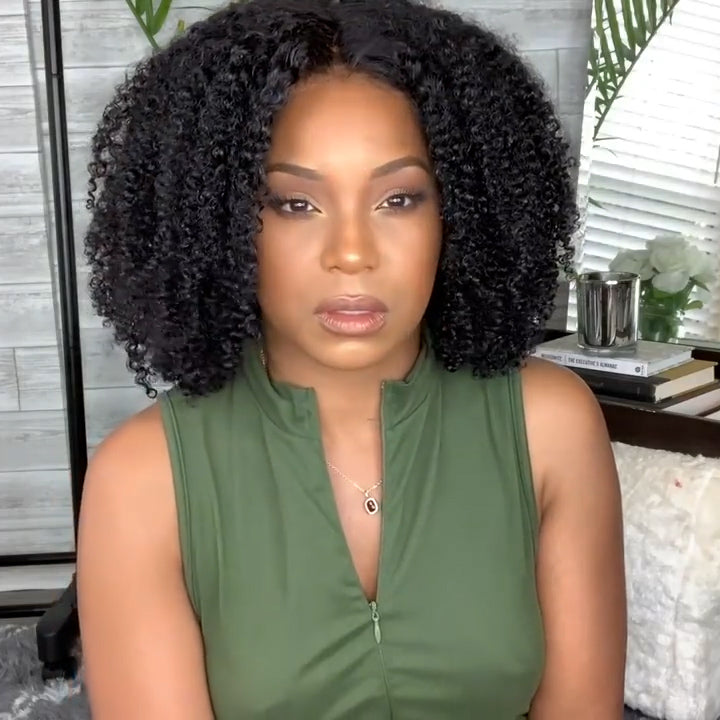 Natural Wig, Best Wig Ever Type Hair