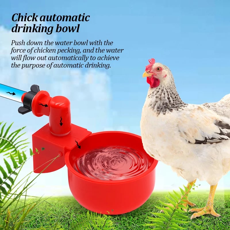 (🔥Last Day Promotion-SAVE 65% OFF)🔥Automatic Chicken Water Cup Waterer Kit -BUY 10 GET 10 FREE & FREE SHIPPING