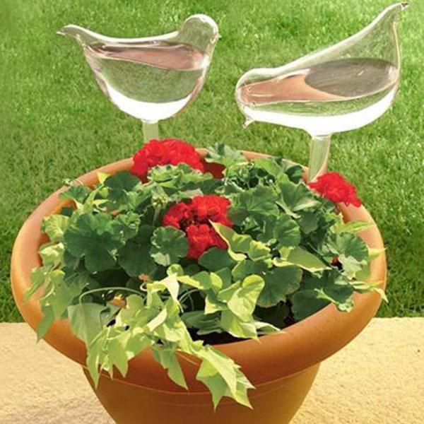 (🔥Last Day Promotion-SAVE 50% OFF) 2PCS/SET Self-Watering Plant Glass Bulbs -- BUY 3 SETS FREE SHIPPING