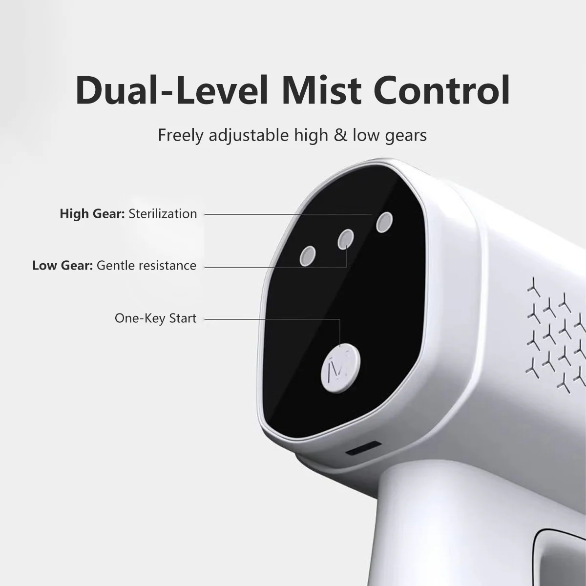 Professional Disinfectant Atomizer, Nano Sprayer with Blue Light
