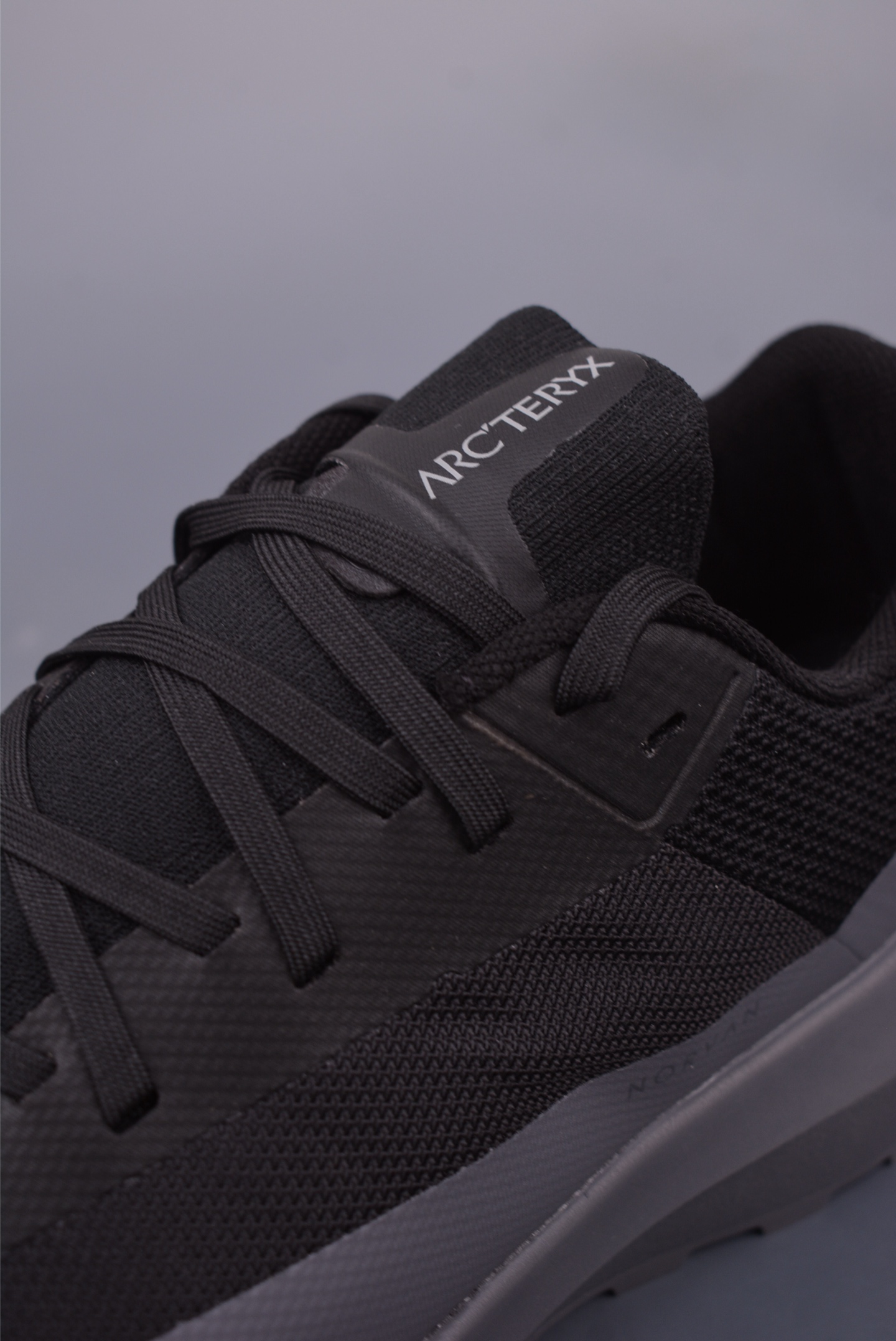 Arc'teryx Norvan LD 4 