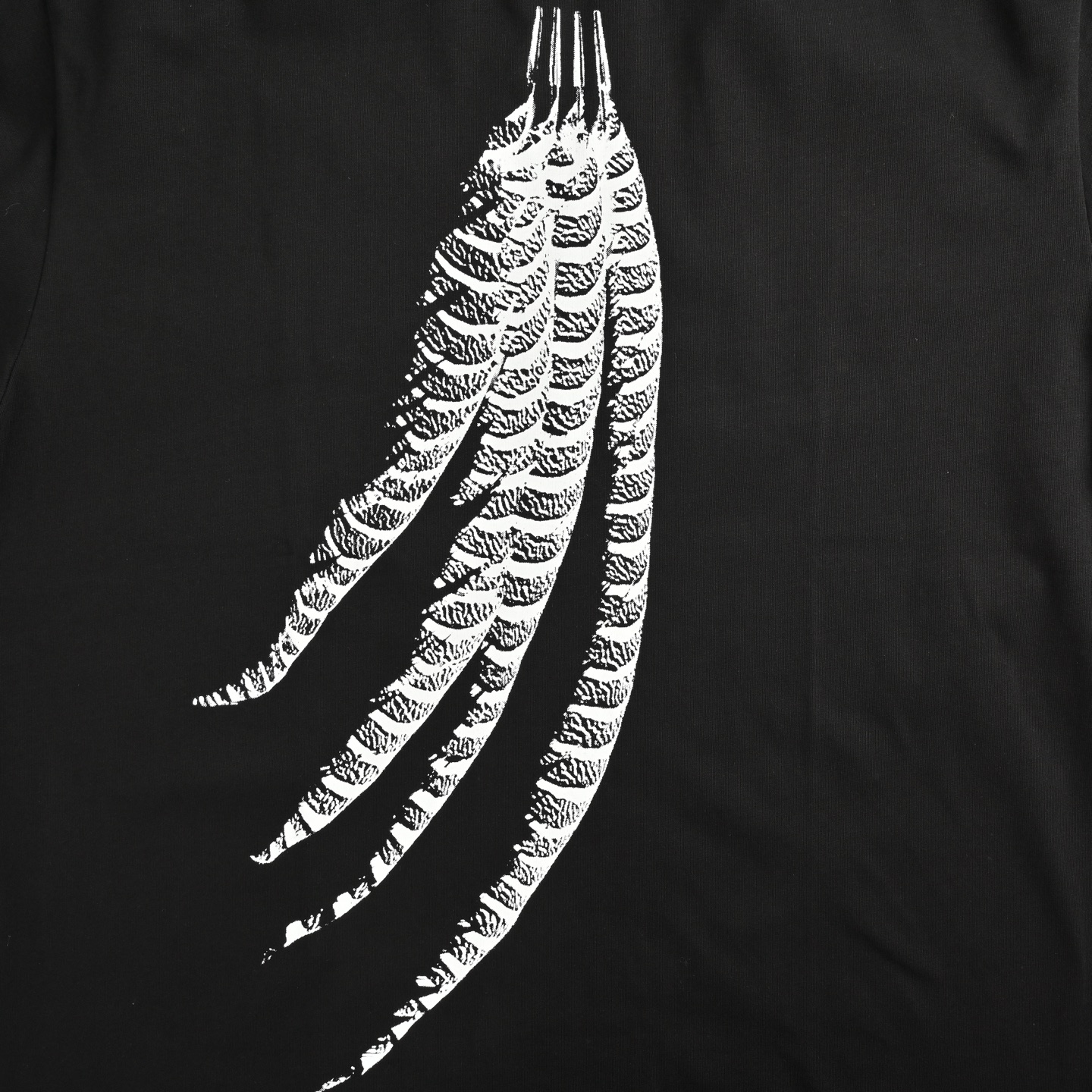 Loewe 25ss feather print short sleeve