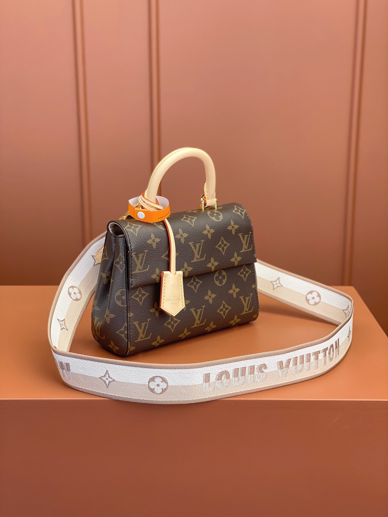 Louis Vuitton CLUNY Mini Bag M46055