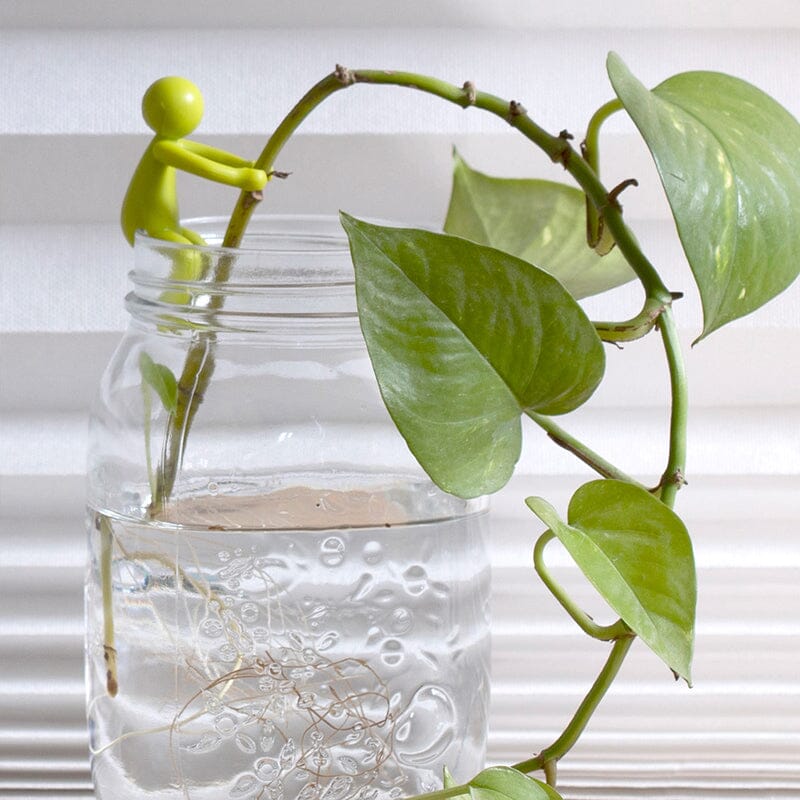🔥Hot Sale Now - 50% OFF🔥💥3-Pack/Set Plant Cuttings Support & Propagation Buddy