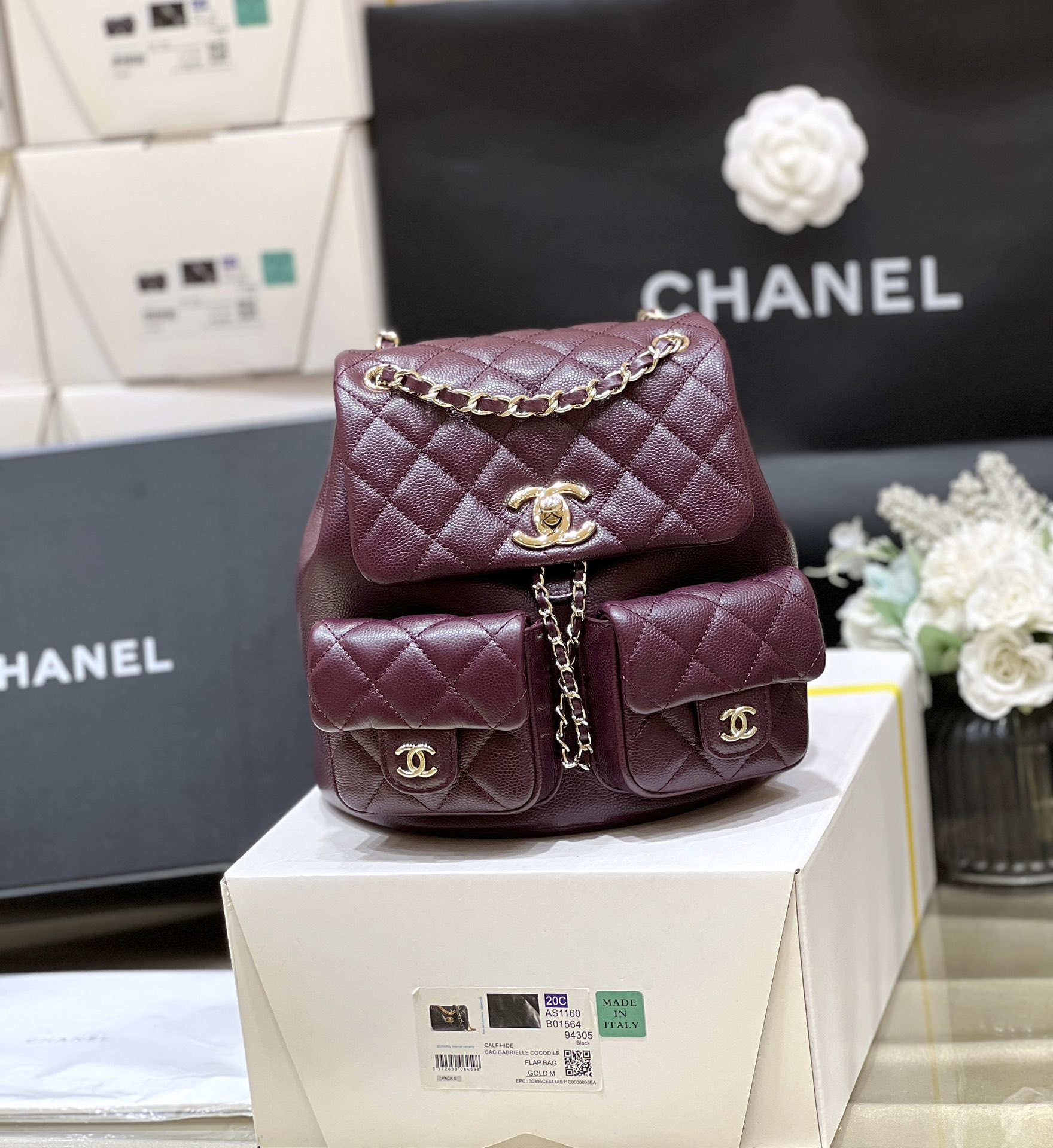 Chanel 24A duma double backpack 3860