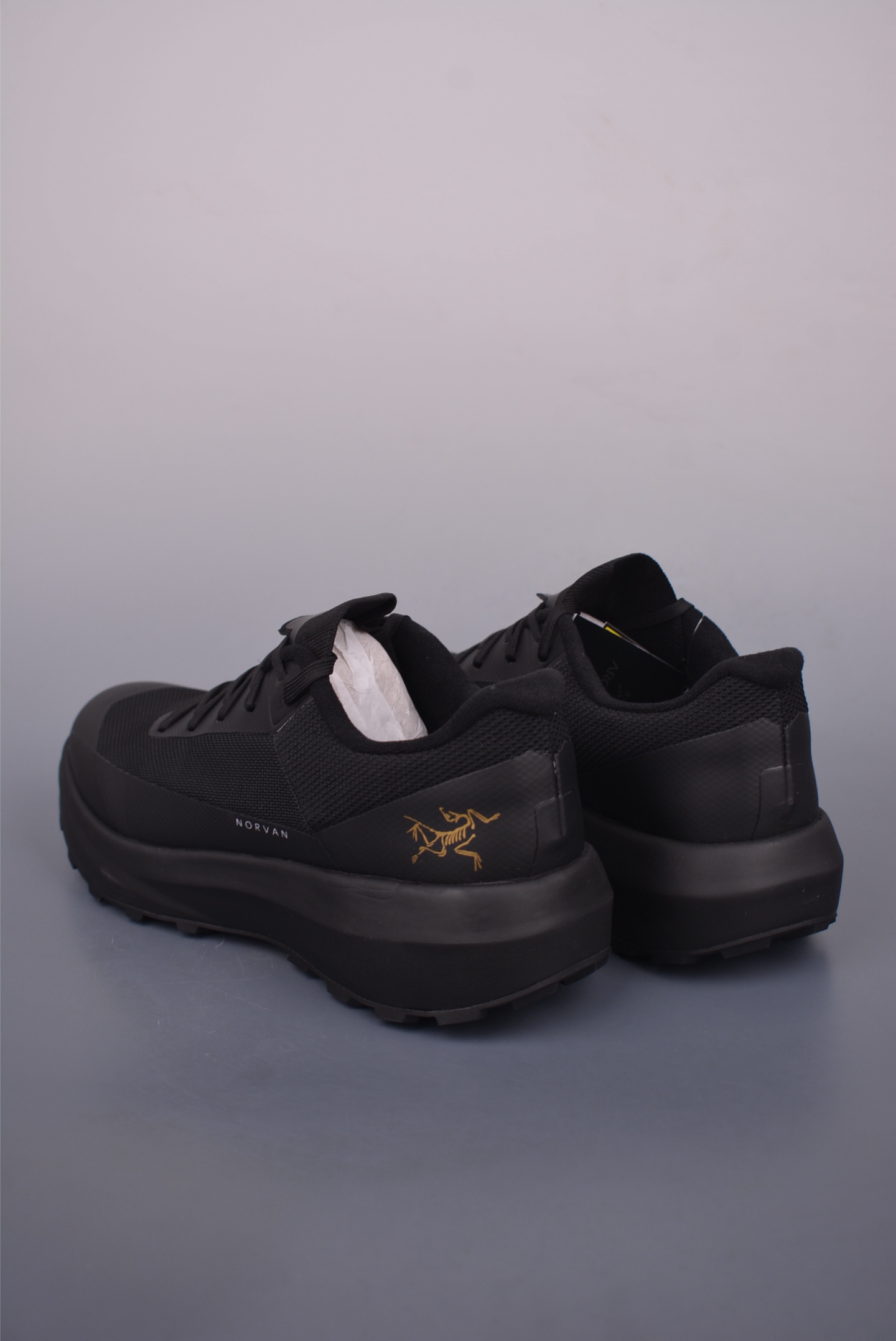 Arc'teryx NORVAN LD 4 GTX running shoes 
