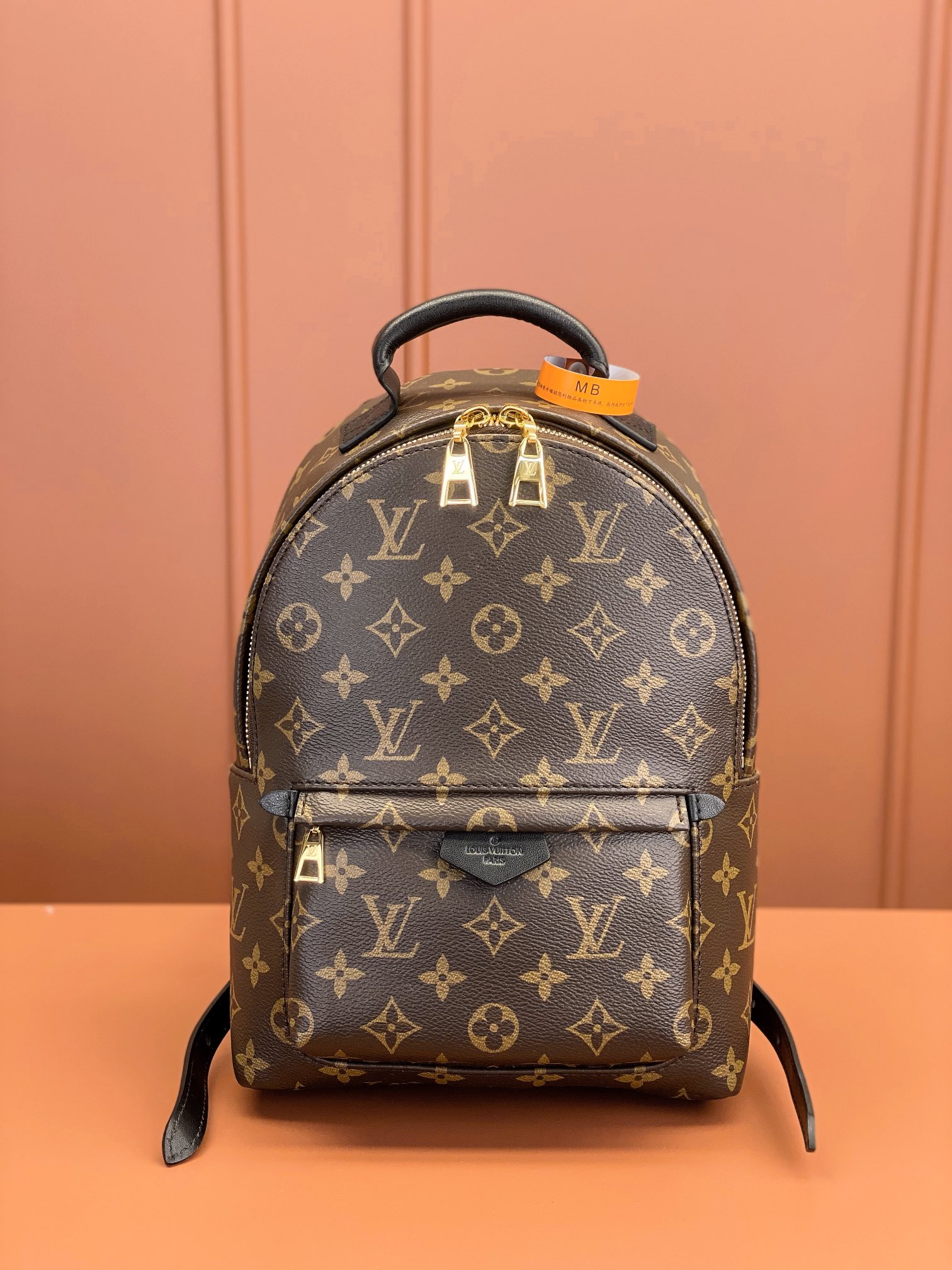 Louis Vuitton PALM SPRINGS Small Backpack M44871