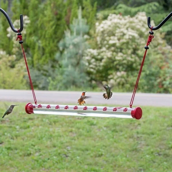 🔥Early Spring Promotion 50% OFF-Hummingbird Feeder with perch