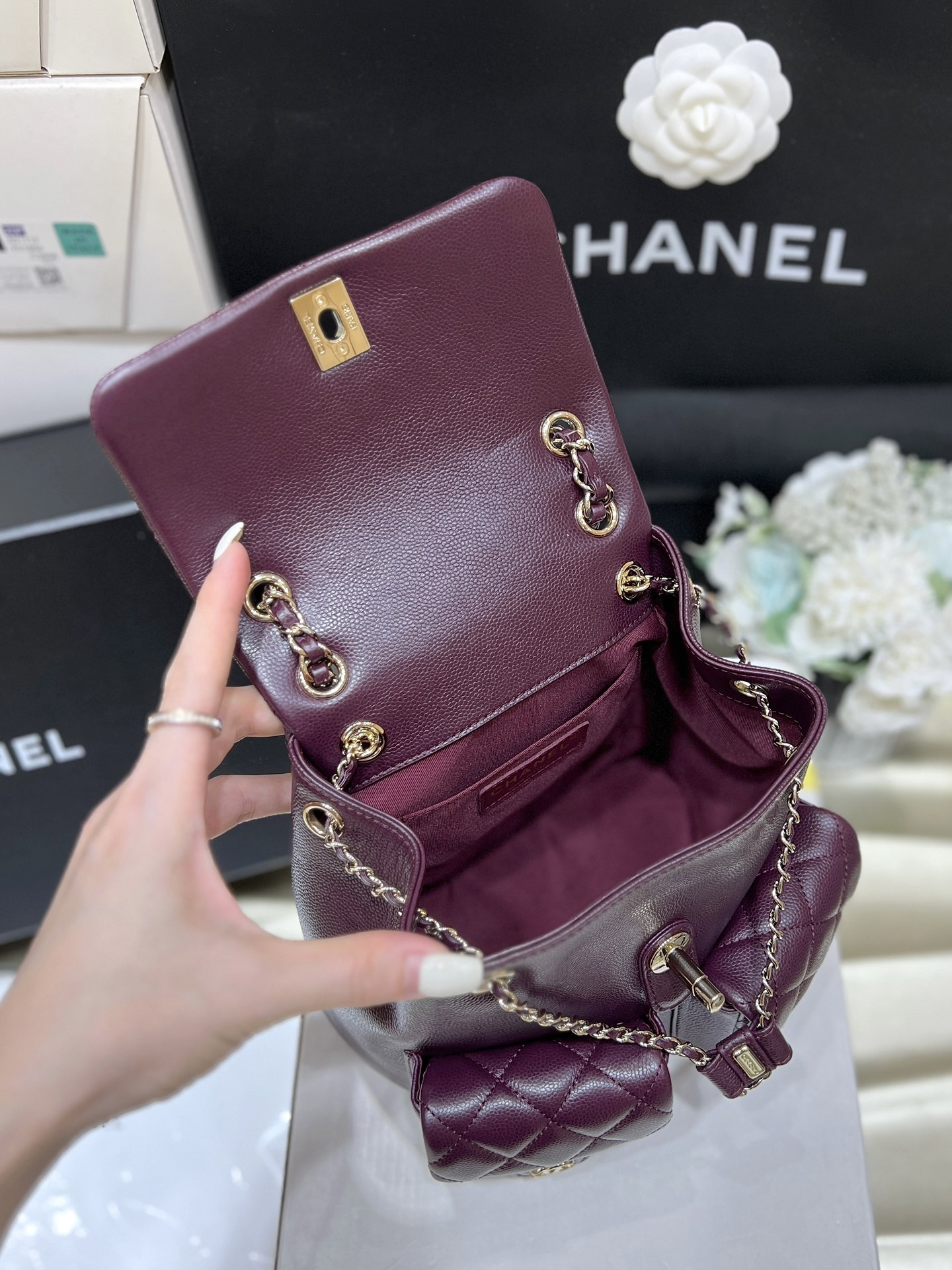 Chanel 24A duma double backpack 3860
