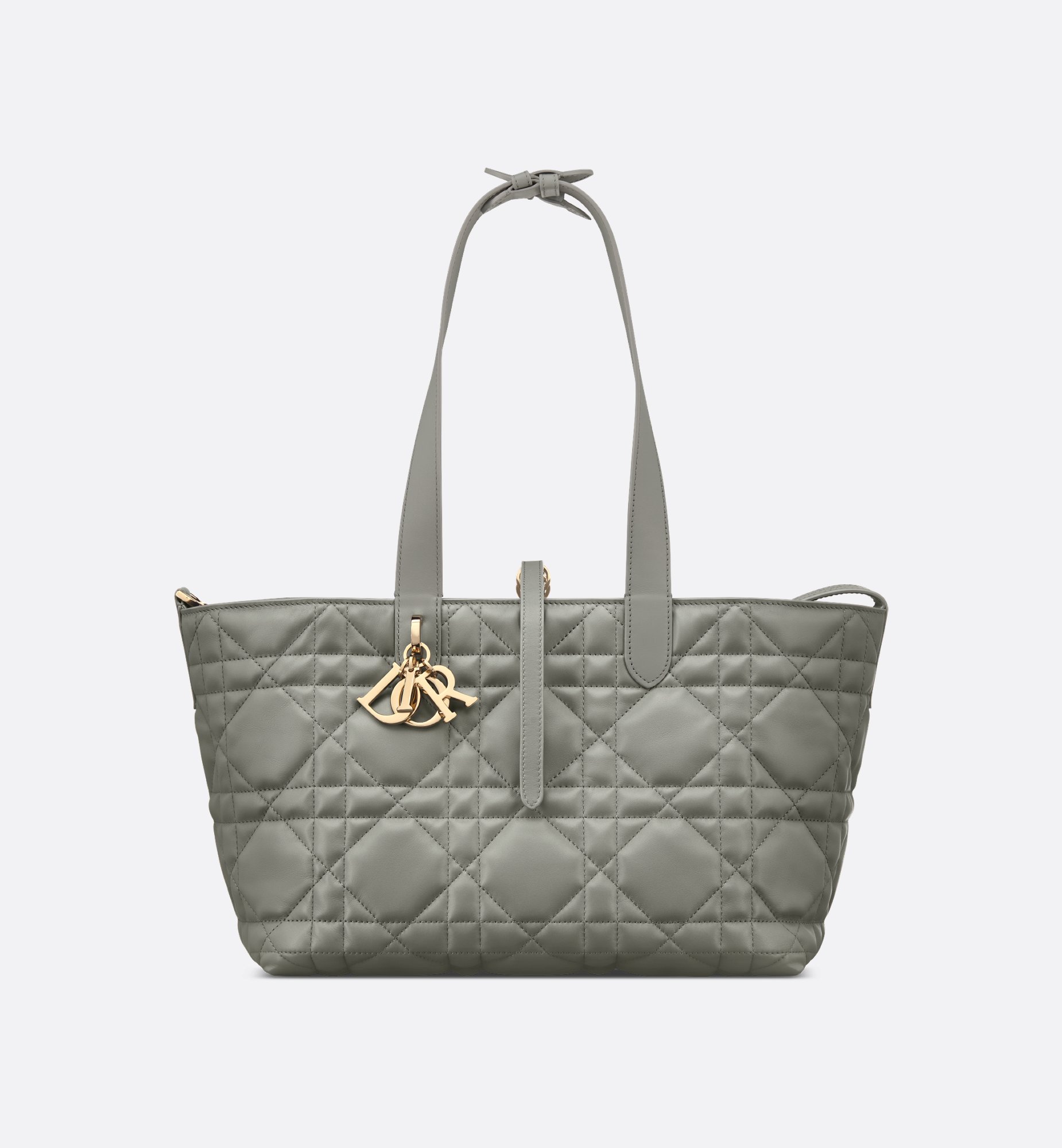 Dior Medium Dior Toujours Bag M2821OSHJ_M41G