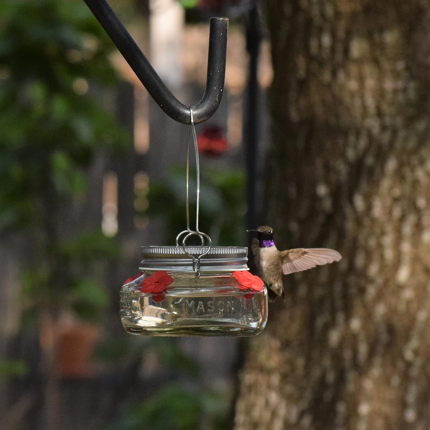 🔥Last Day Sale 50% OFF💥Beautiful Mason JarHummingbird Feeder