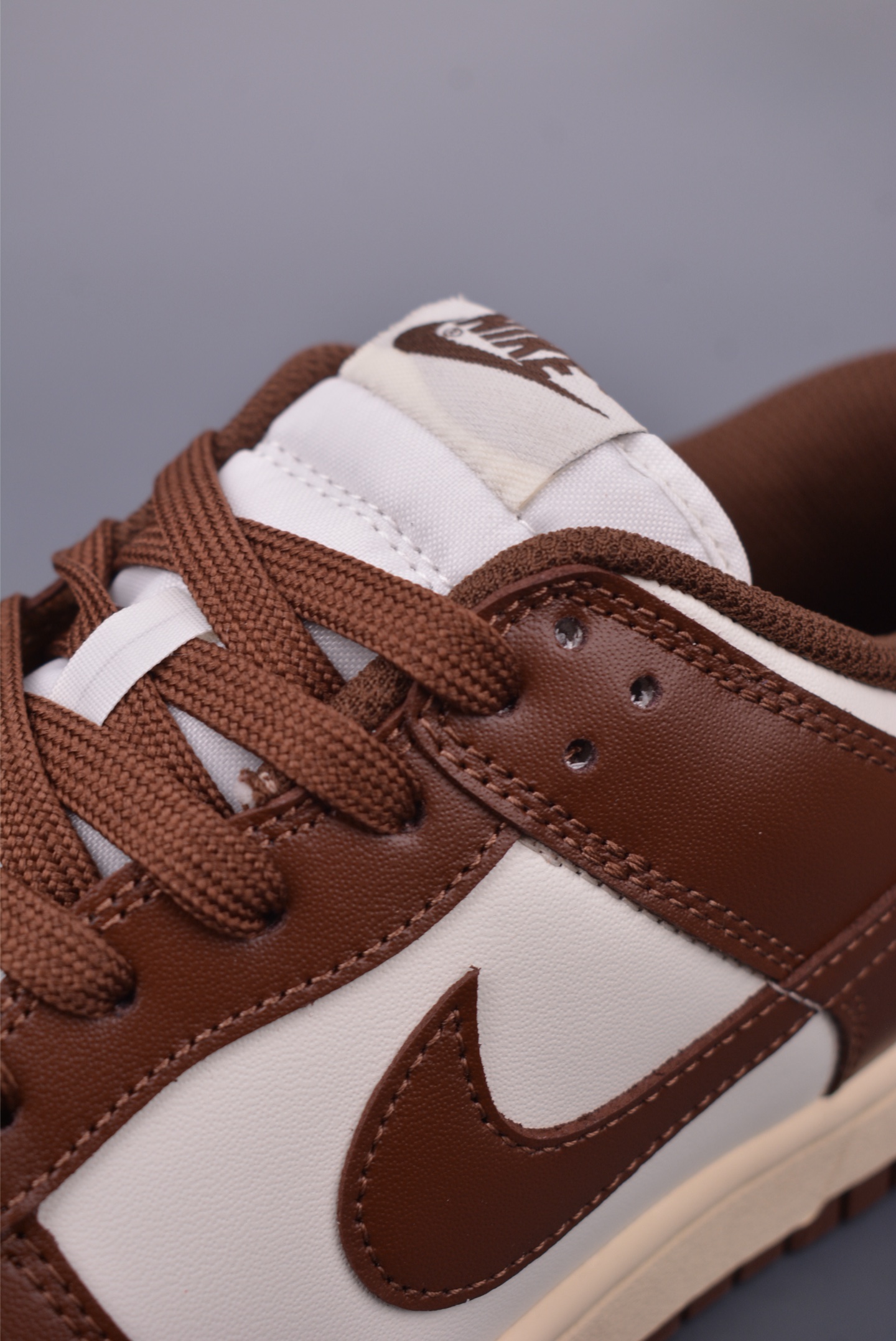 Nike Wmns SB Dunk Low Retro