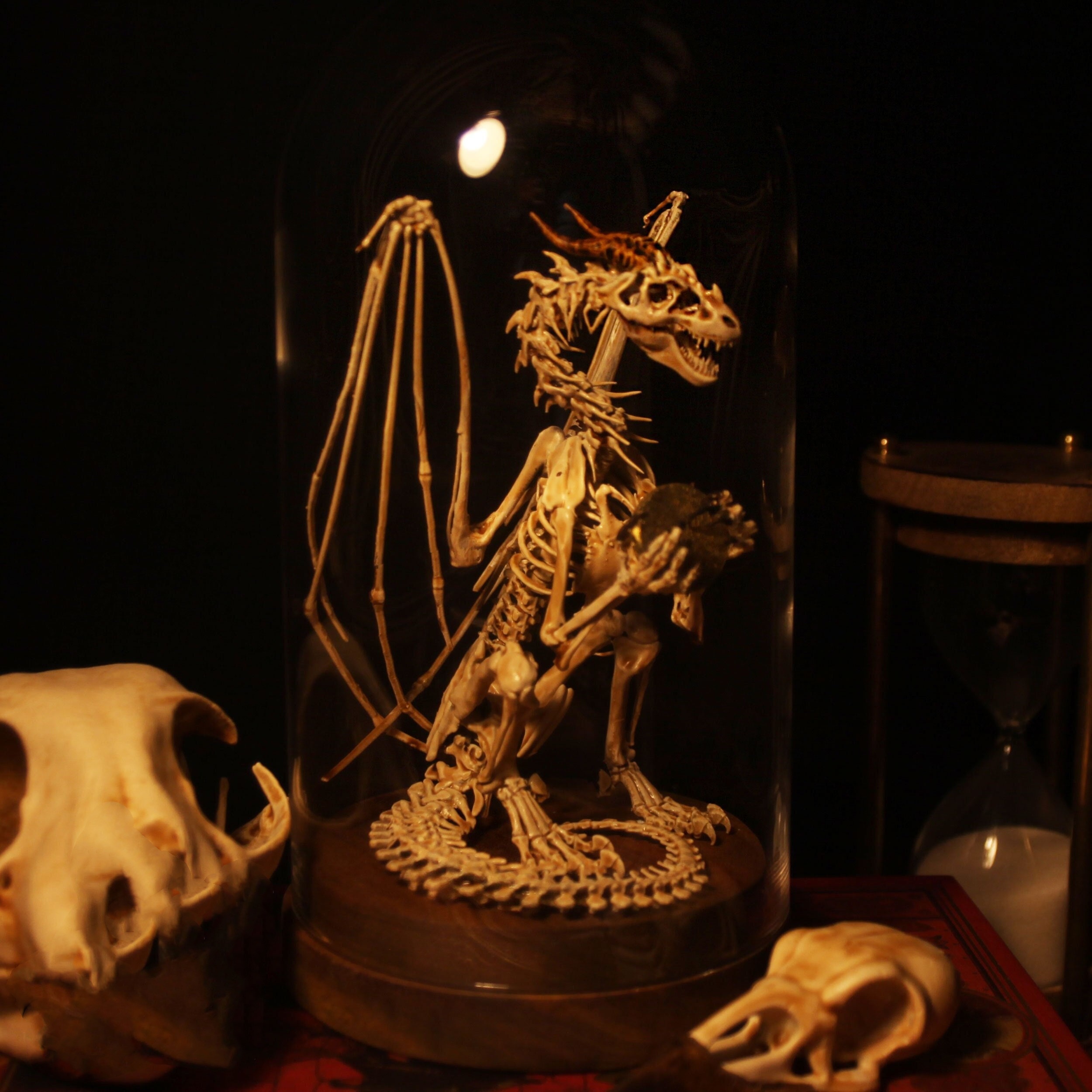 👍Last Day Promotion 60% OFF💥WENDIGO SKELETON CURIOSITY CABINET