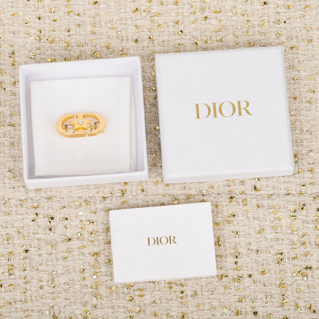 Dior star cd brooch