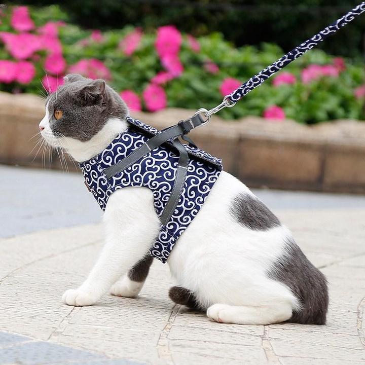 (🎁CHRISTMAS PRE SALE - 48% OFF)CAT VEST HARNESS AND LEASH SET TO OUTDOOR WALKING