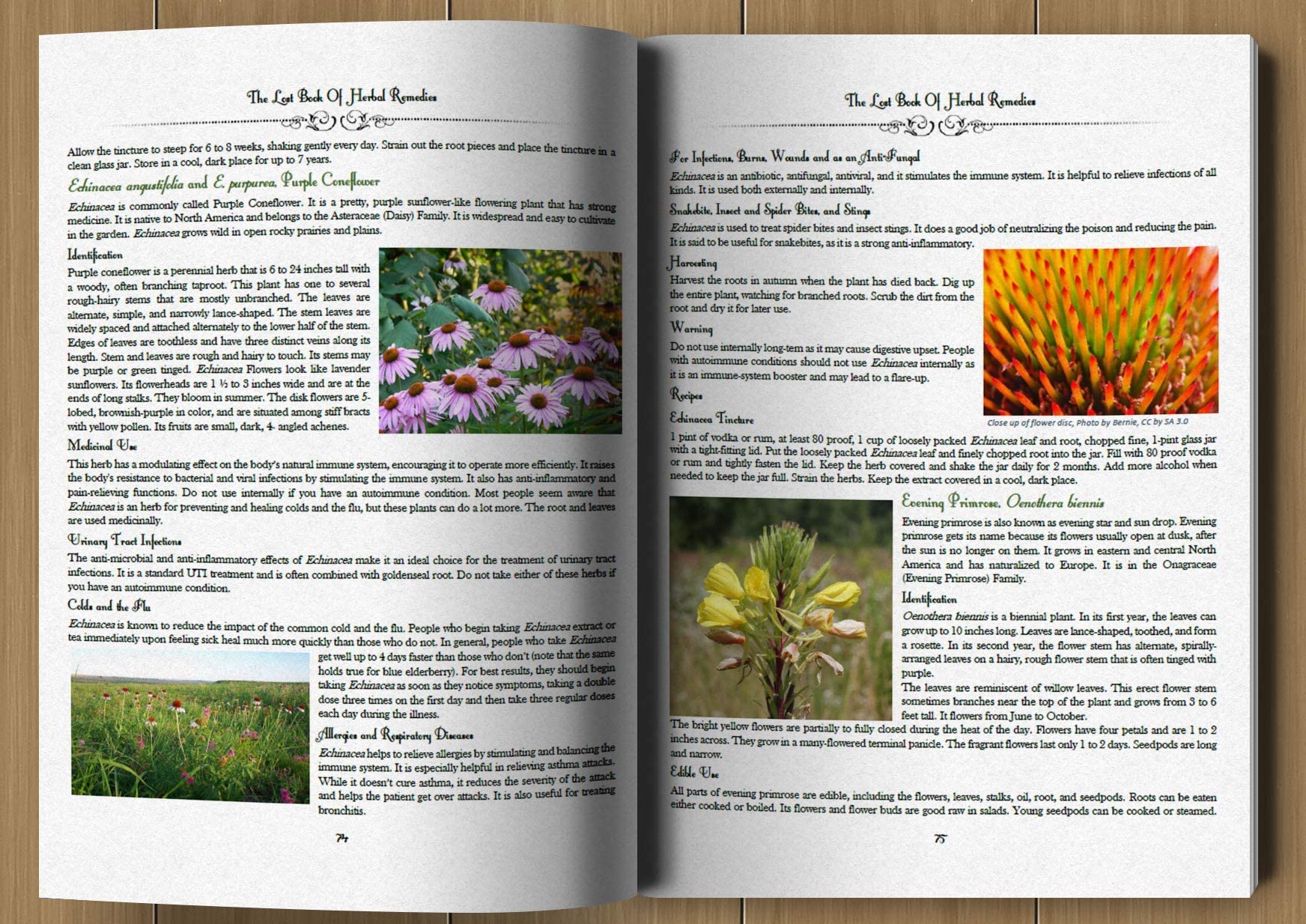 👍2024 New Revision- 40% OFF💥The Lost Book of Herbal Remedies