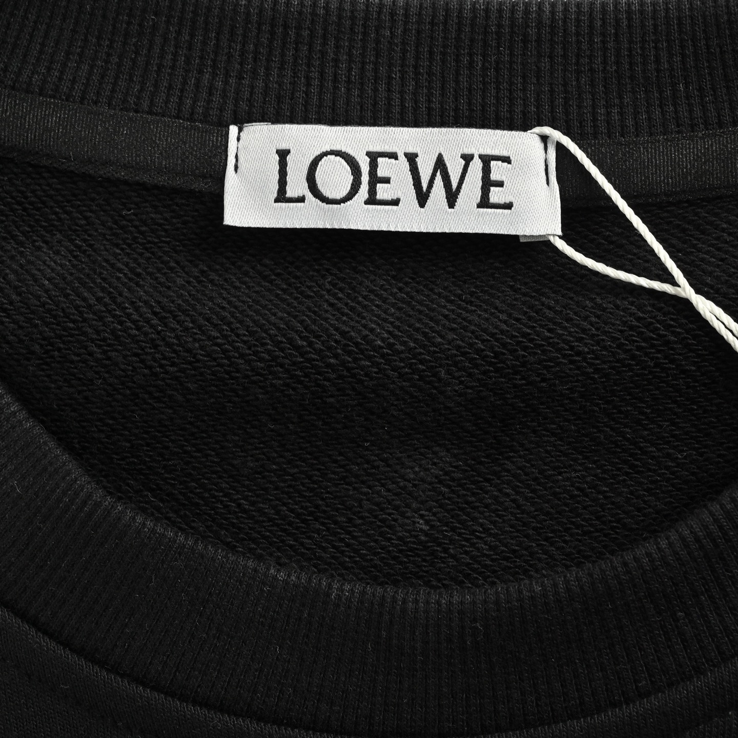 Loewe 25Fw dotted letter logo print crew neck sweatshirt
