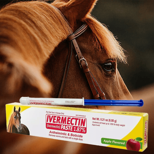🔥Last Day 49% OFF - Ivermectin Horse Paste 1.87% 6.08g Tubes