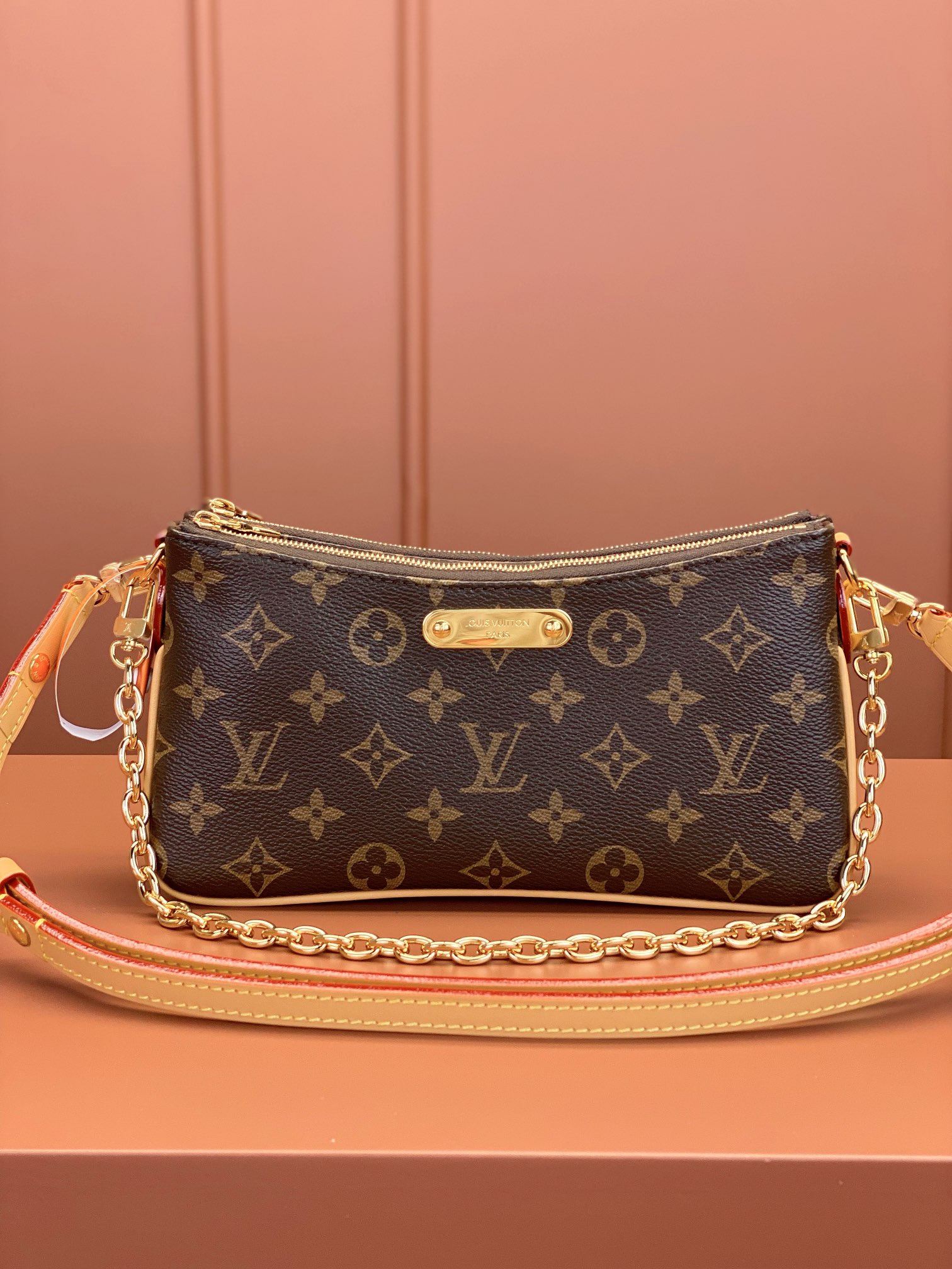 Louis Vuitton pochette bag M83008