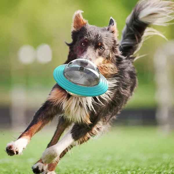 Flying Saucer Slow Feeder Toy-Save 50%