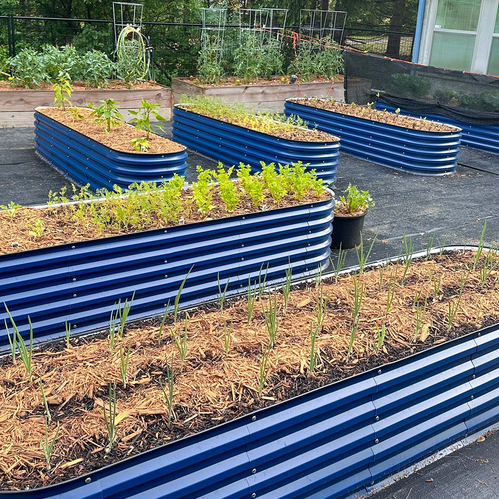 🌷2025D Spring Clearance Sale 🔥A8x2 Metal Raised Garden Beds (9 in 1)【Upgrade 2.0】